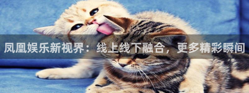 彩神vii官方：凤凰娱乐新视界：线上线下融合，更多精彩瞬间