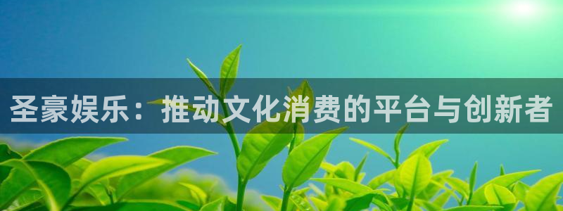 彩神vii官方：圣豪娱乐：推动文化消费的平台与创新者