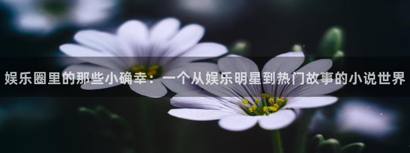 彩神vii官方：娱乐圈里的那些小确幸：一个从娱乐明星到热门故事的小说世界
