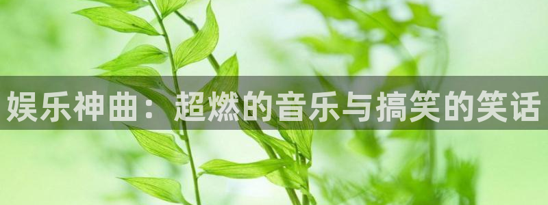 彩神vii官方：娱乐神曲：超燃的音乐与搞笑的笑话