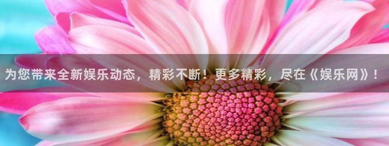 彩神vii官方：为您带来全新娱乐动态，精彩不断！更多精彩，尽在《娱乐网》！