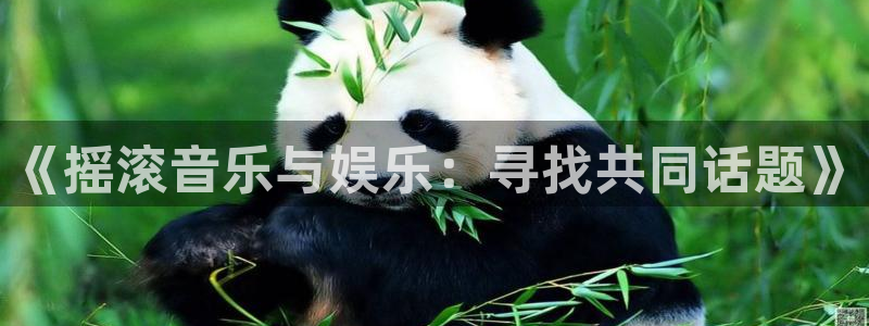 彩神vii官方：《摇滚音乐与娱乐：寻找共同话题》